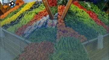 أسعار الخضراوات والفاكهة في كفر الشيخ السبت 25 أكتوبر 2025